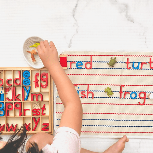 Montessori Language Materials - My Playroom 