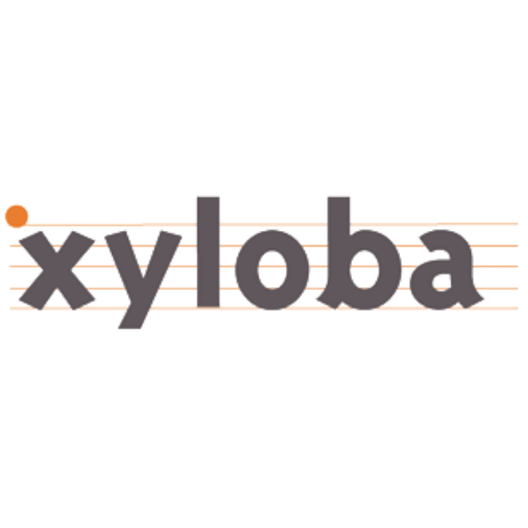Xyloba Sound Marble Runs Switzerland - My Playroom 