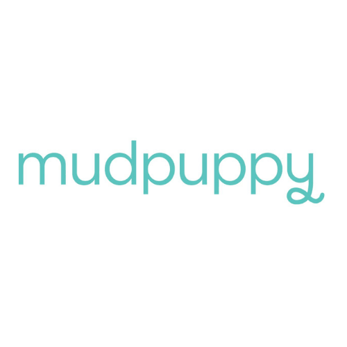 Mudpuppy Puzzles USA - My Playroom 