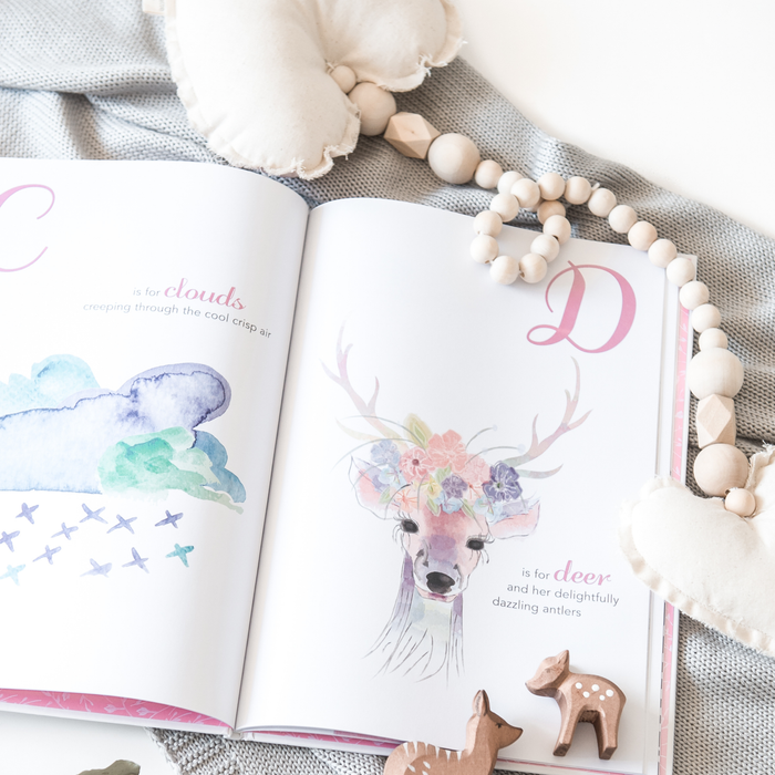 Adored Illustrations The Enchanting ABC (Hardcover)