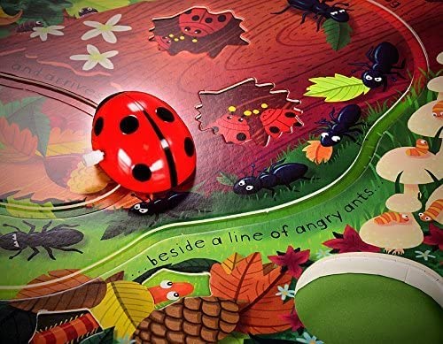 Wind-Up Ladybird (Board Book)