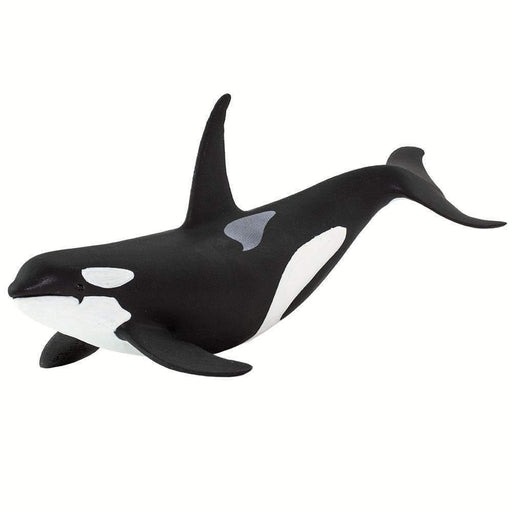 Orca Killer Whale Figurine Sea Life collection - My Playroom 