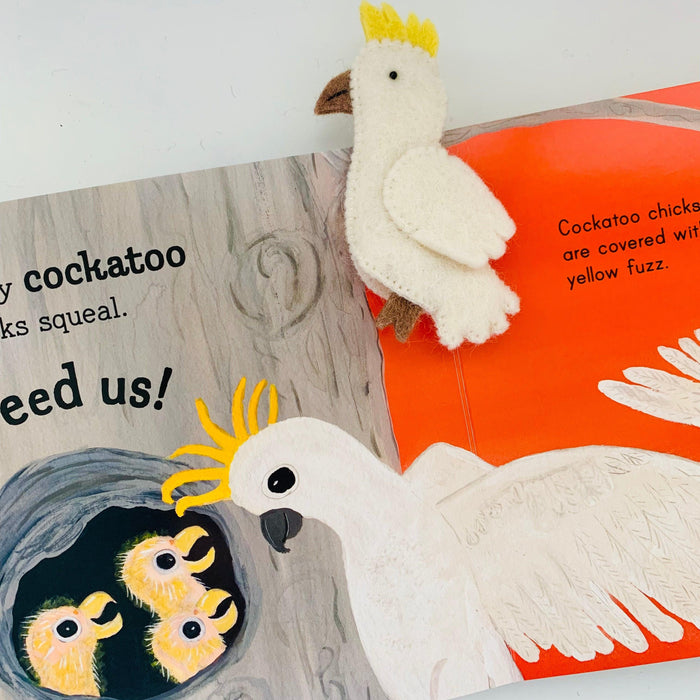 Why Reading to Your Baby from Day One Matters More Than You Think