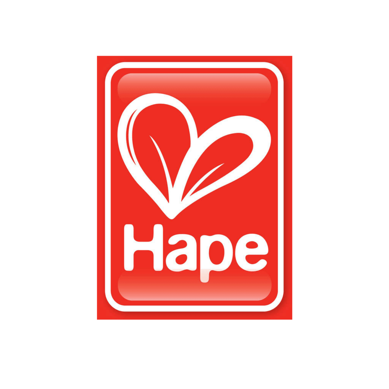 Hape Wooden Toys Germany - My Playroom 