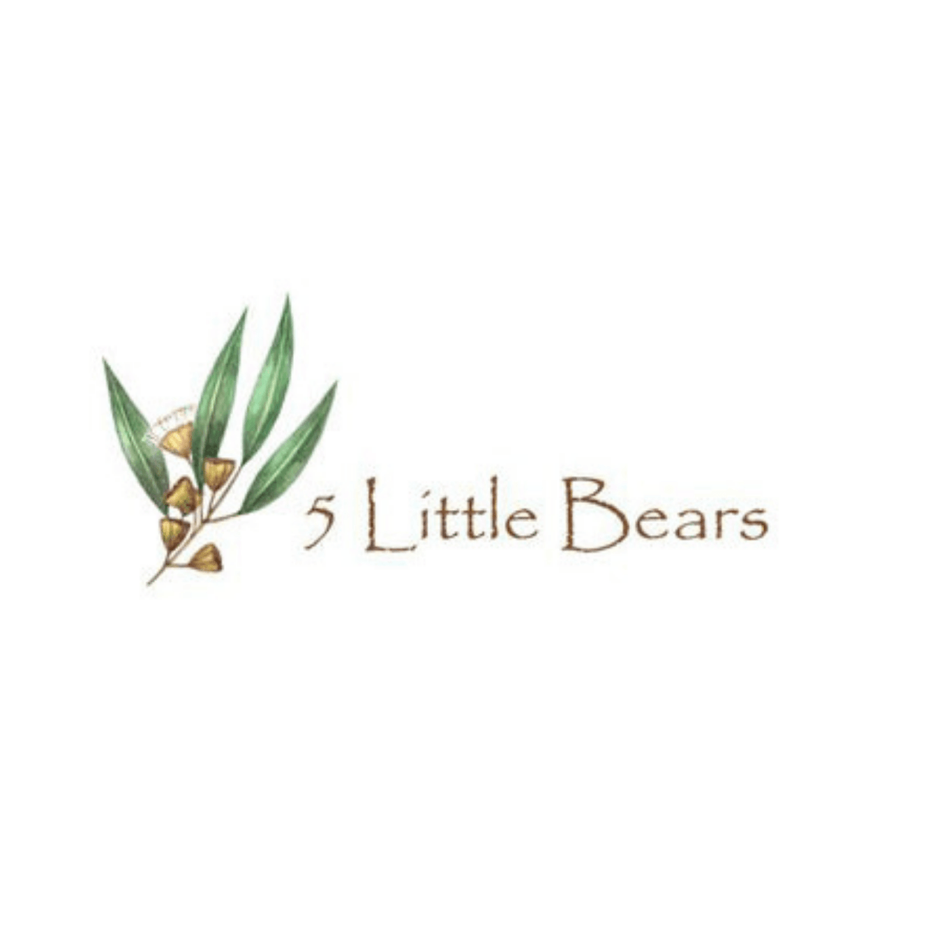 5 Little Bears Ecosystem Range Australia - My Playroom 