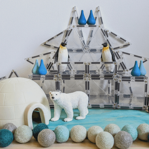 Theme Animal - North Pole / South Pole - My Playroom 