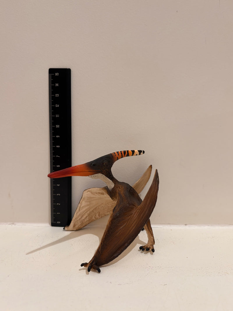Pteranodon Figurine by Safari Ltd Dinosaur & Prehistoric World Collection Animal Figurines Dinosaur and Dragon Theme 3yrs+