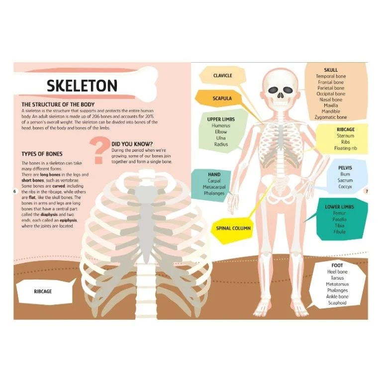 Travel, Learn and Explore The Human Body 200pcs Book and Puzzle Set by Sassi Early Science STEM Gift Set 6yrs+