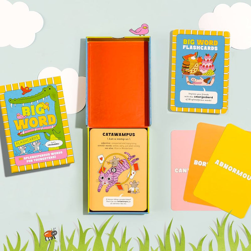 Big Word 30 Flashcards By Knock Knock Kids Early Phonics Literacy 6yrs+