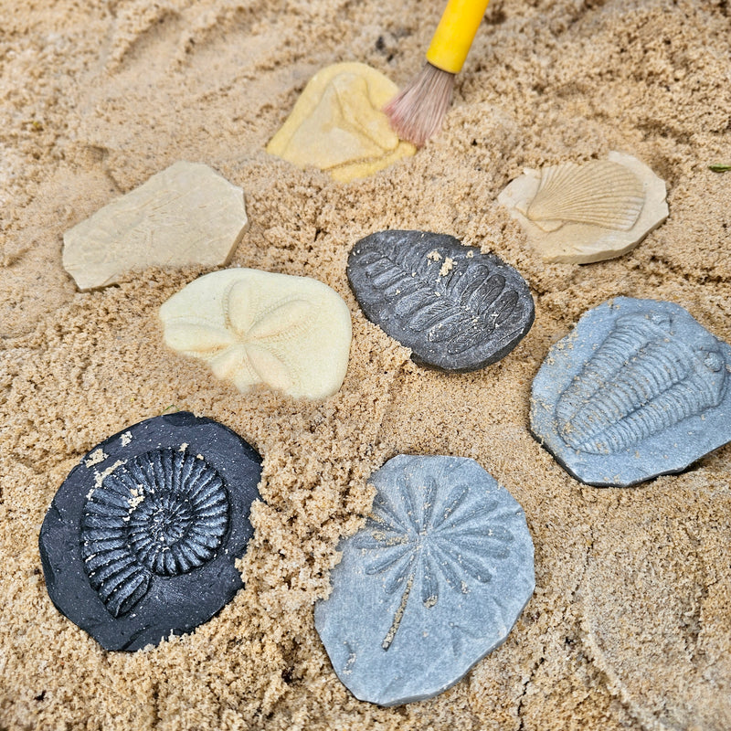 Yellow Door Let’s Investigate Fossils Set of 8 Sensory Stone Playdough Sand Toys Dinosaur toy Sensory Toys Developmental Toys for Toddlers Gifts Idea Dinosaur and Dragon Theme 2yrs+