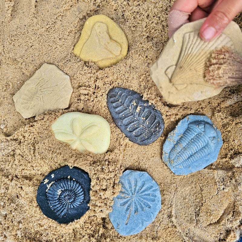 Yellow Door Let’s Investigate Fossils Set of 8 Sensory Stone Playdough Sand Toys Dinosaur toy Sensory Toys Developmental Toys for Toddlers Gifts Idea Dinosaur and Dragon Theme 2yrs+