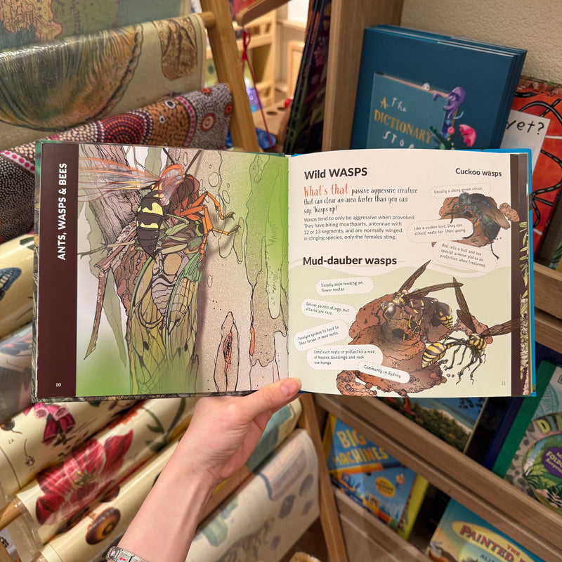 What's That? Australian Insects (Hardcover) by Myke Mollard Kids Book