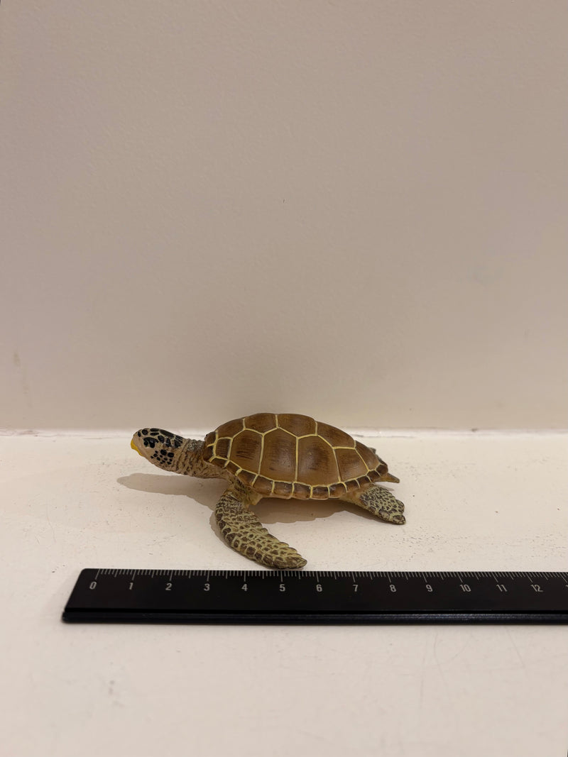 Loggerhead Turtle Figurine by Safari Ltd Sea Life Collection Aninal Figurines 3yrs+