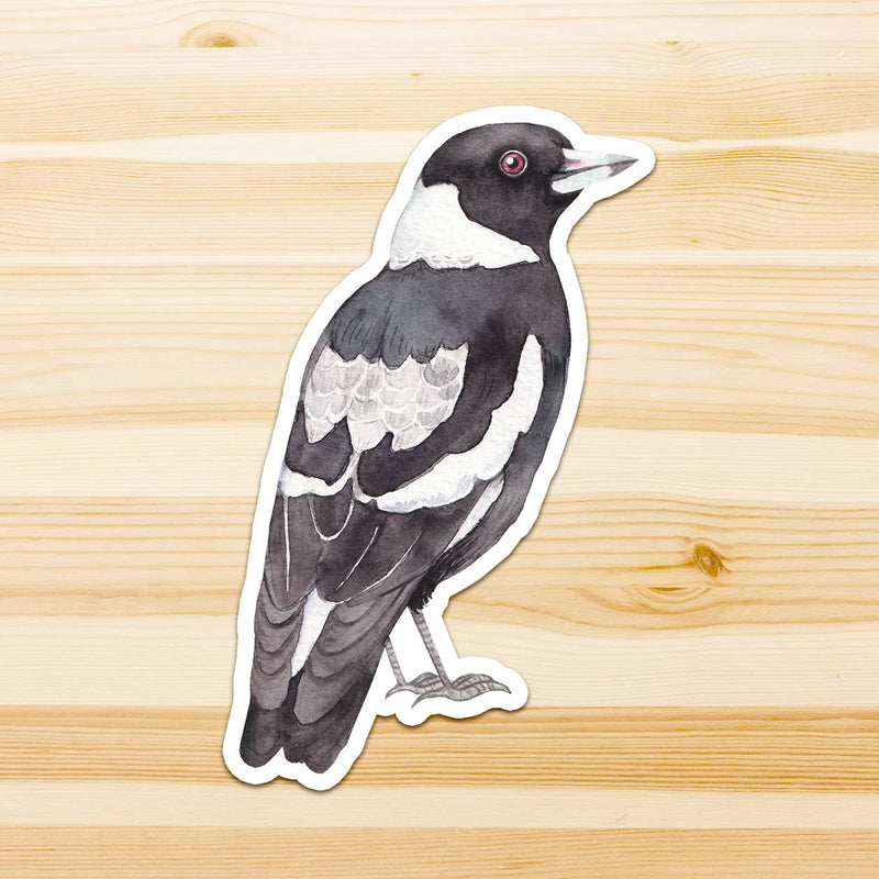 Australian Bird Stickers Vinyl Waterproof Stickers set of 4 by Watercolour By Cat