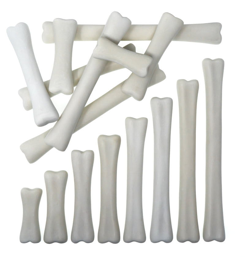 Yellow Door Dinosaur Bones Match and Measure Set with Activity Cards Dinosaur toy Early Science and Math Games for Kids STEM Toys Dinosaur and Dragon Theme 3yrs+