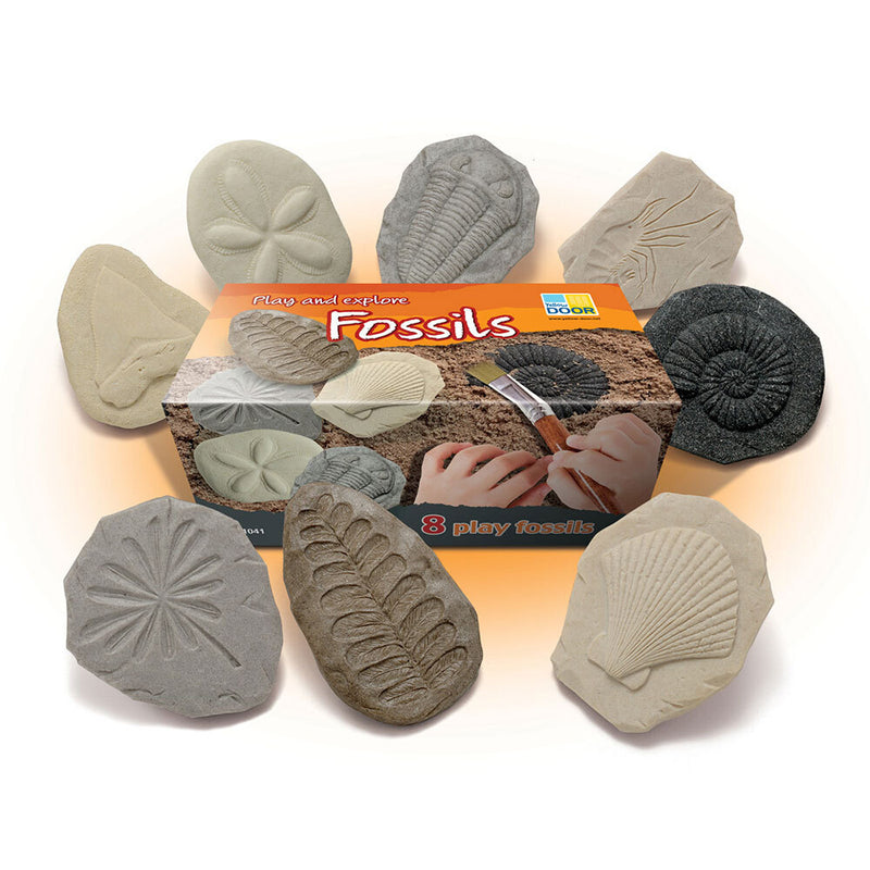Yellow Door Let’s Investigate Fossils Set of 8 Sensory Stone Playdough Sand Toys Dinosaur toy Sensory Toys Developmental Toys for Toddlers Gifts Idea Dinosaur and Dragon Theme 2yrs+