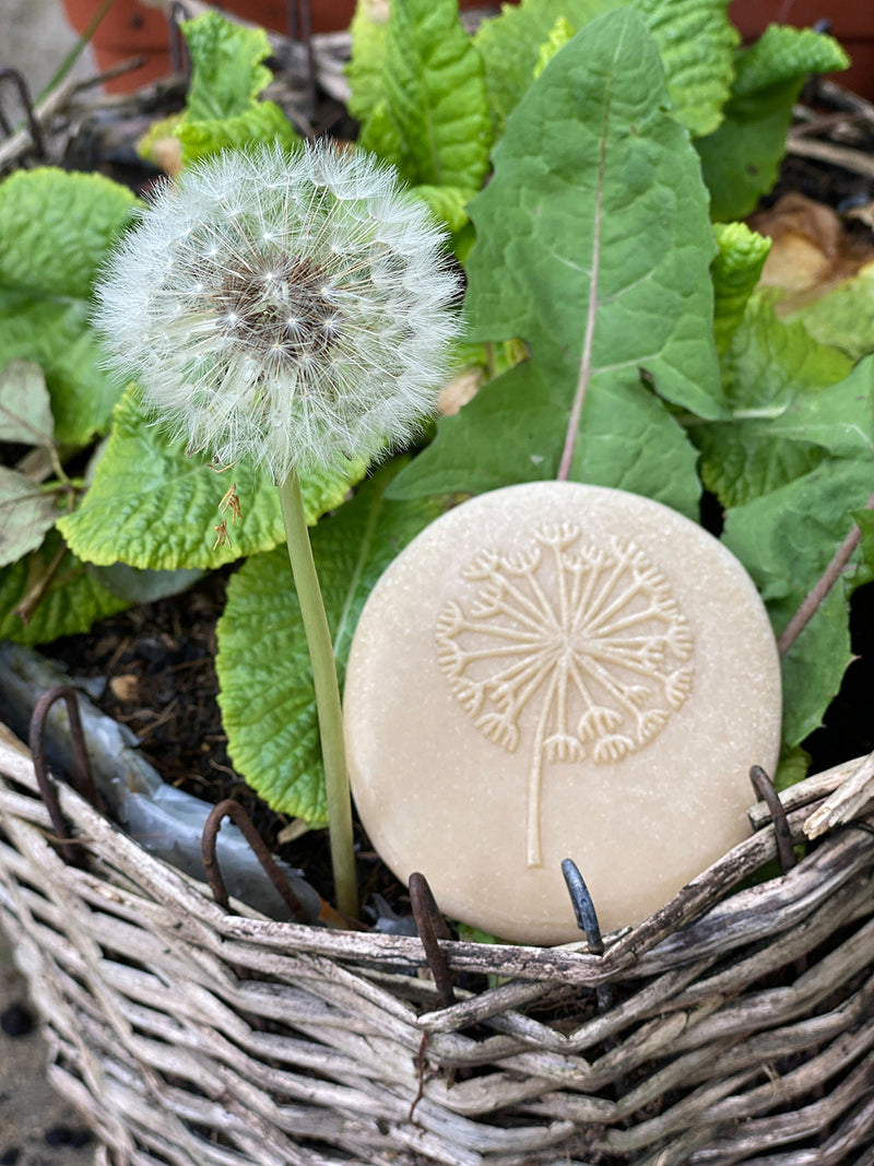 Yellow Door Let’s Investigate Nature Set of 8 Sensory Stone Playdough Sand Toys Sensory Toys Developmental Toys for Toddlers Gifts Idea 2yrs+