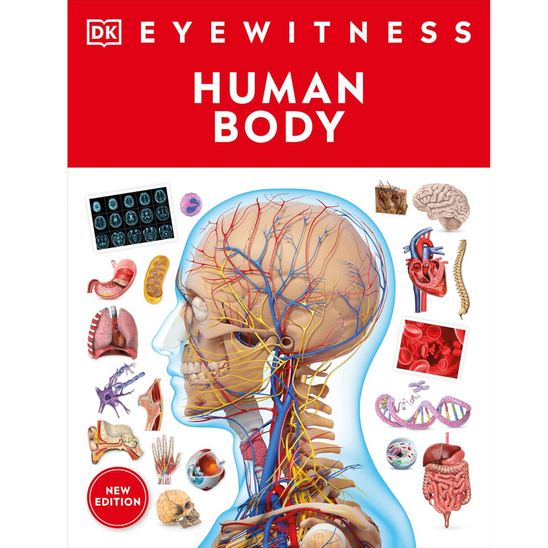DK Eyewitness Human Body (Paperback) by DK STEM Science Facts Book