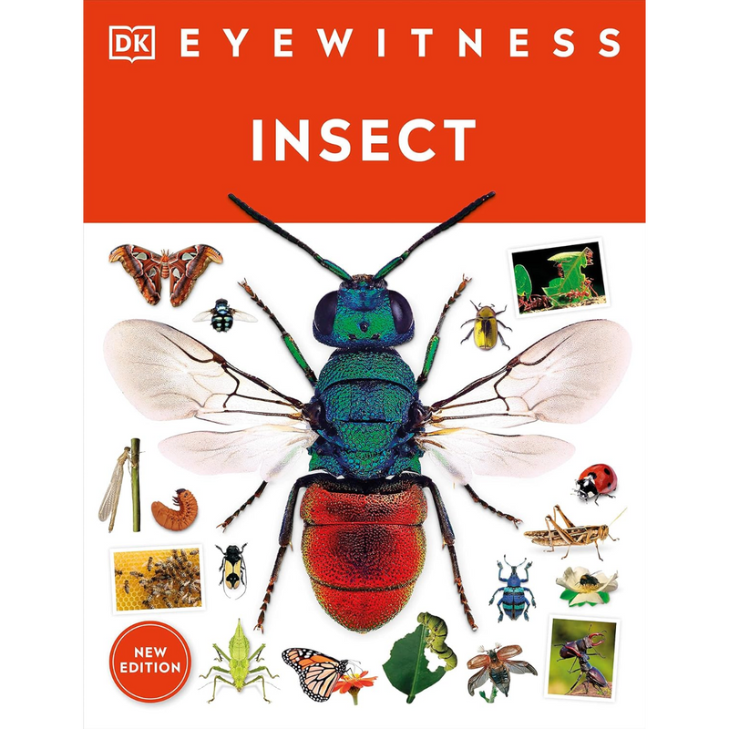DK Eyewitness: Insect (Paperback) by DK STEM Science Facts Book