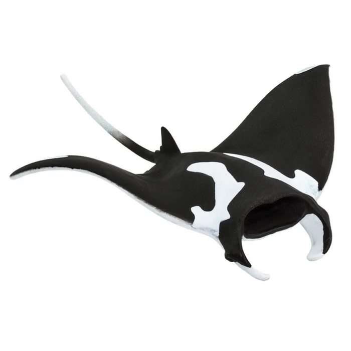 Safari Ltd Manta Ray Figurine Sea Life Collection by Safari Ltd 3yrs+