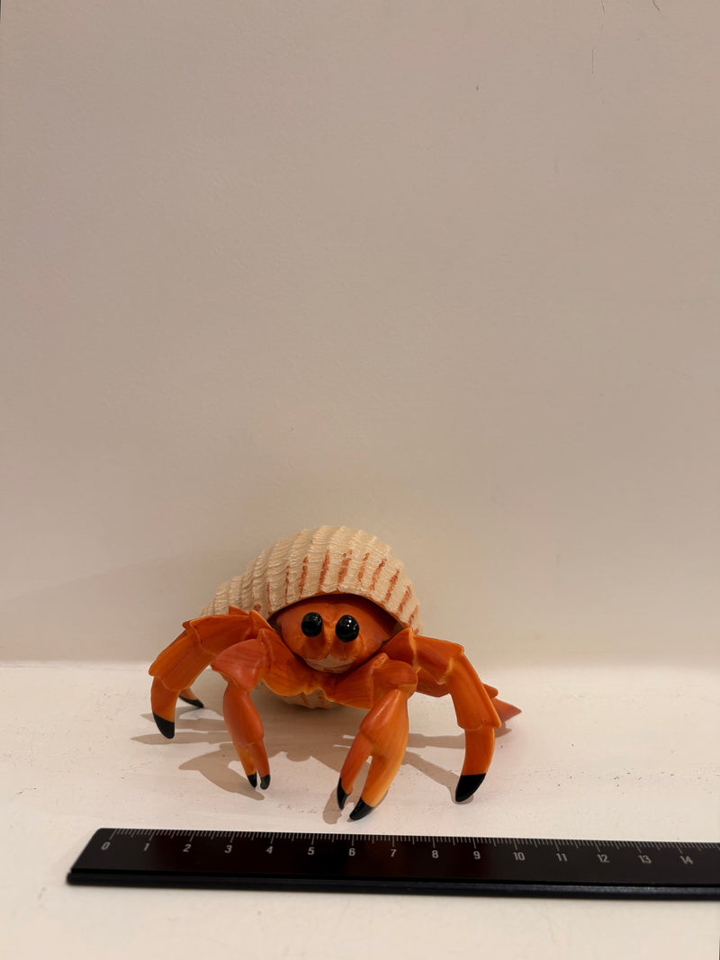 Hermit Crab Figurine by Safari Ltd Sea Life Collection Animal Figurines 3yrs+