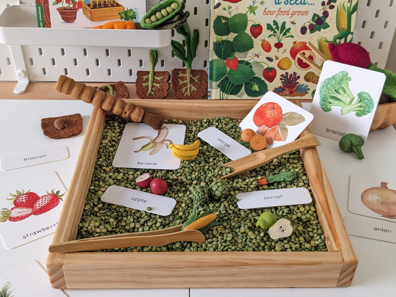 Montessori 3 Part Cards Nomenclature Fruits English