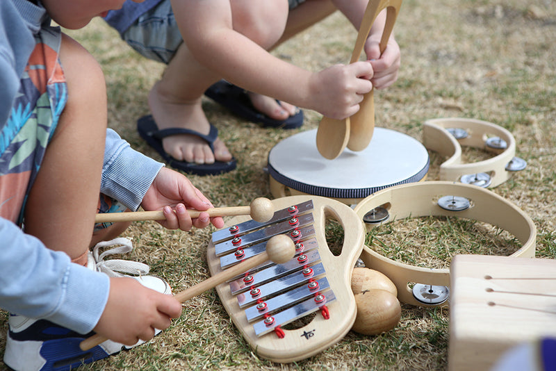 IQ Plus Wood Egg Shaker 6cm Musical Intruments for Kids 3yrs+