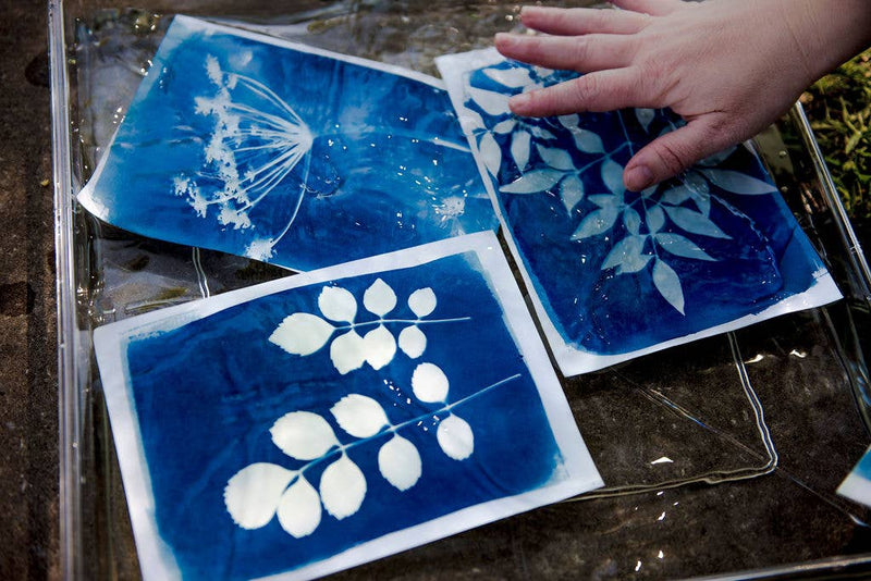 My Little Print Studio - Cyanotype Printing Kit