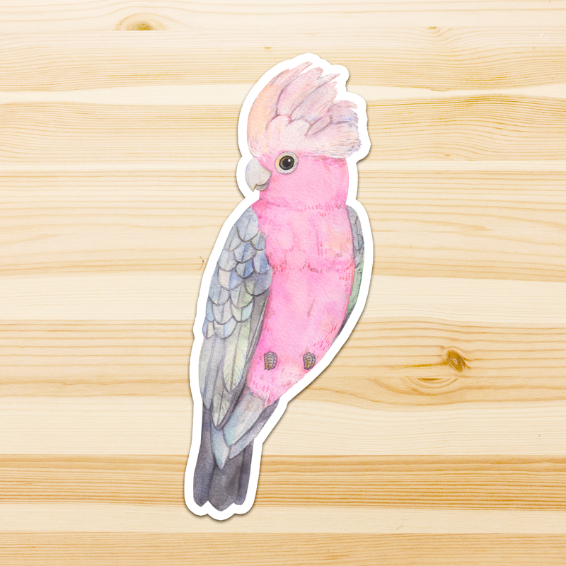 Australian Bird Stickers Vinyl Waterproof Stickers set of 4 by Watercolour By Cat