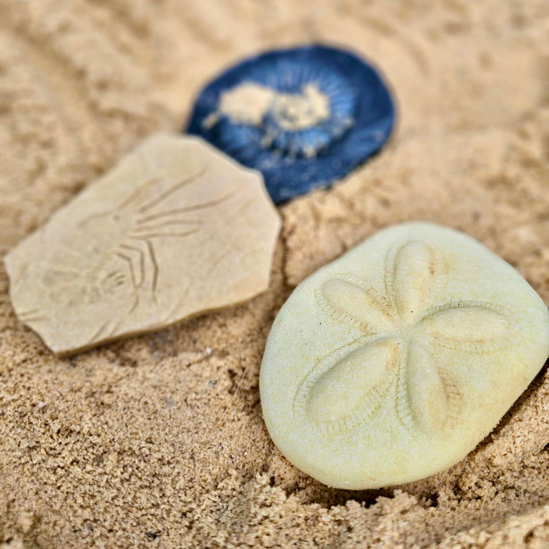 Yellow Door Let’s Investigate Fossils Set of 8 Sensory Stone Playdough Sand Toys Dinosaur toy Sensory Toys Developmental Toys for Toddlers Gifts Idea Dinosaur and Dragon Theme 2yrs+