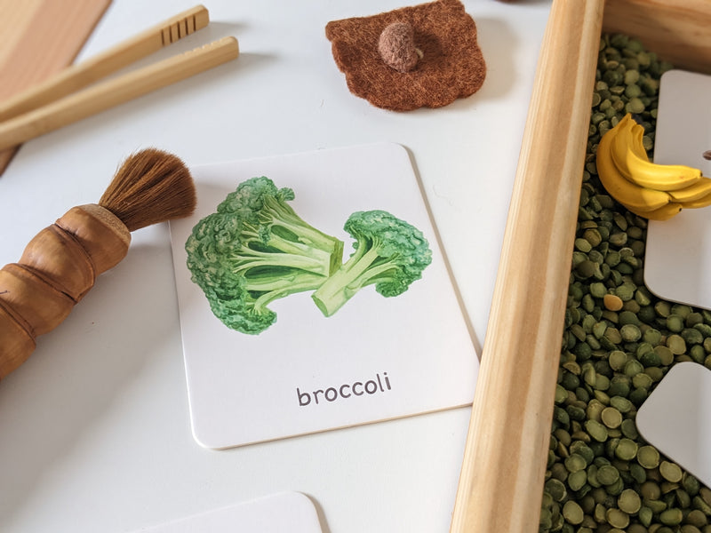 Montessori 3 Part Cards Nomenclature Vegetables English