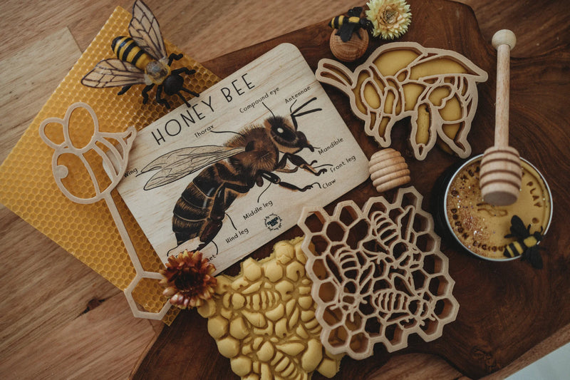 Timber Kids Honeybee Anatomy Wooden Tile Bee Toys 11x15cm Bee Toys Early Science 3yrs+