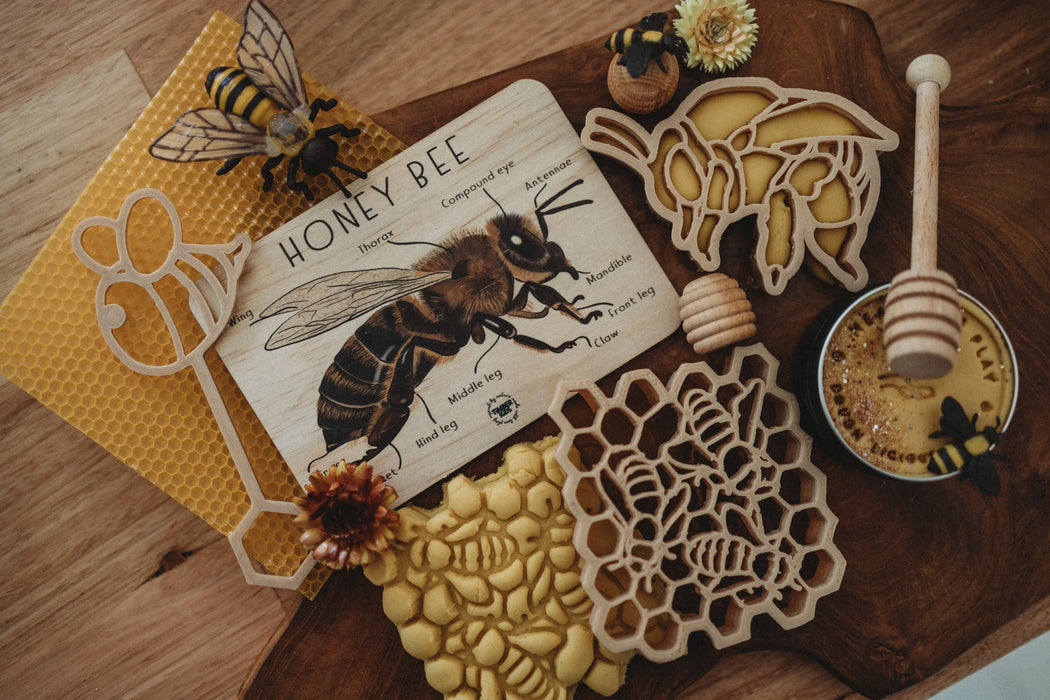Timber Kids Honeybee Anatomy Wooden Tile 11x15cm