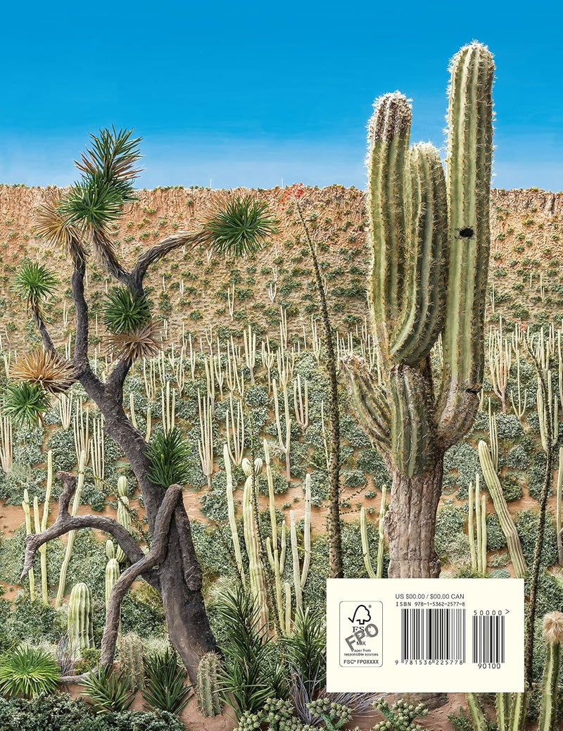 Desert Jungle (Paperback) By Jeannie Baker Kids Picture Book
