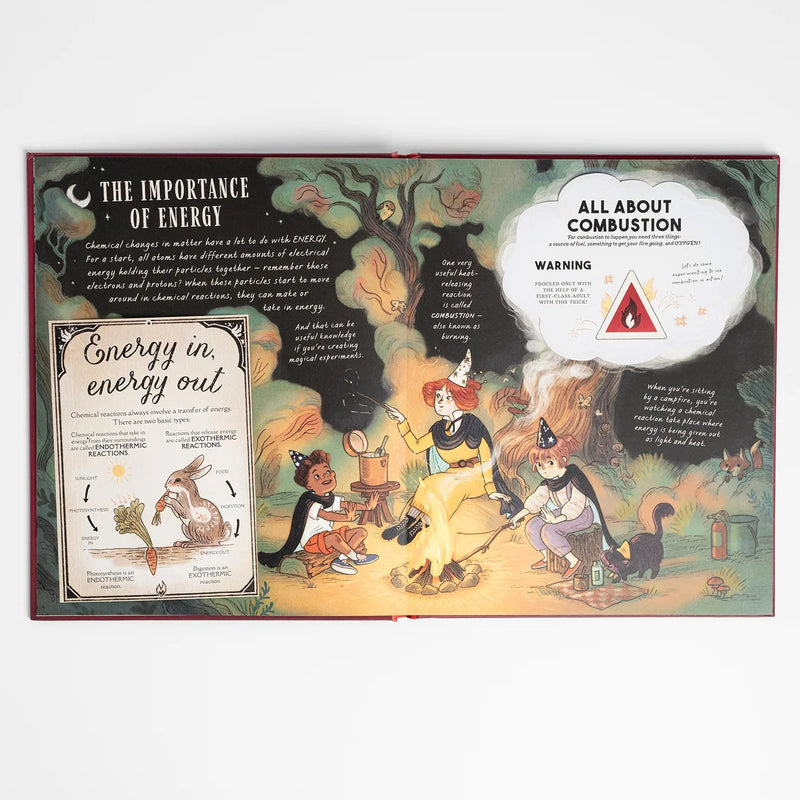 The Wizard’s Guide to Magical Experiments (Hardcover) With 40 Science Experiments To Try At Home by Wood Amanda & Rioux Jo