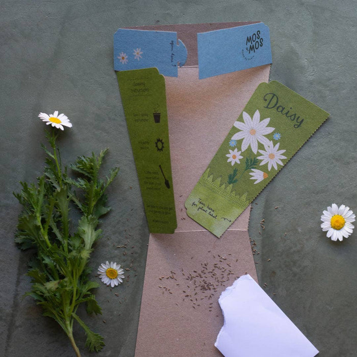 Sow 'n Sow Daisy Gift of Seeds 3yrs+