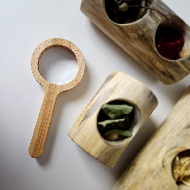 Qtoys Wooden Magnifying Glass Early Science Outdoor Toys Nature Play 3yrs+
