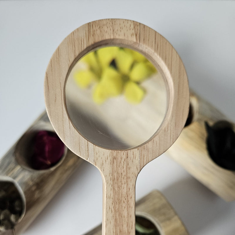 Qtoys Wooden Magnifying Glass Early Science Outdoor Toys Nature Play 3yrs+