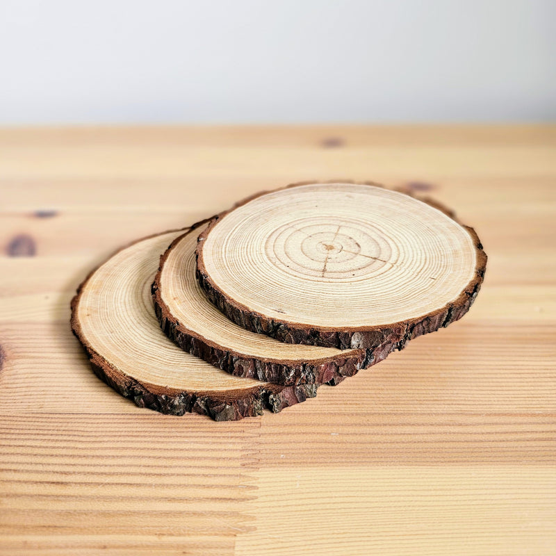 Wood Slices Each 12-14cm Diameter Wooden Nature Play Tools and Toys 3yrs+