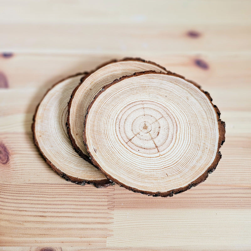 Wood Slices Each 12-14cm Diameter Wooden Nature Play Tools and Toys 3yrs+