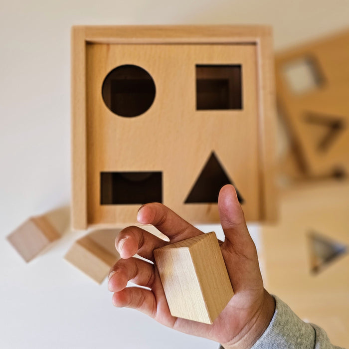 Montessori Sorting Cube Multiple Lids 4 Objects Imbucare Box in Beechwood