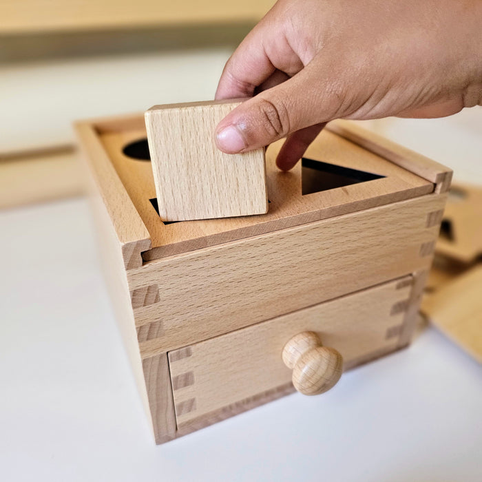 Montessori Sorting Cube Multiple Lids 4 Objects Imbucare Box in Beechwood