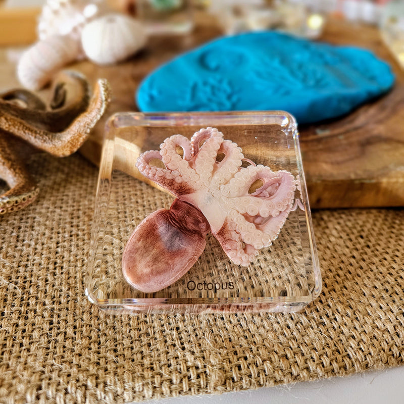 Mini Beasts Ocean Large Set by Knowledge Builder Early Science STEM Toys 3yrs+