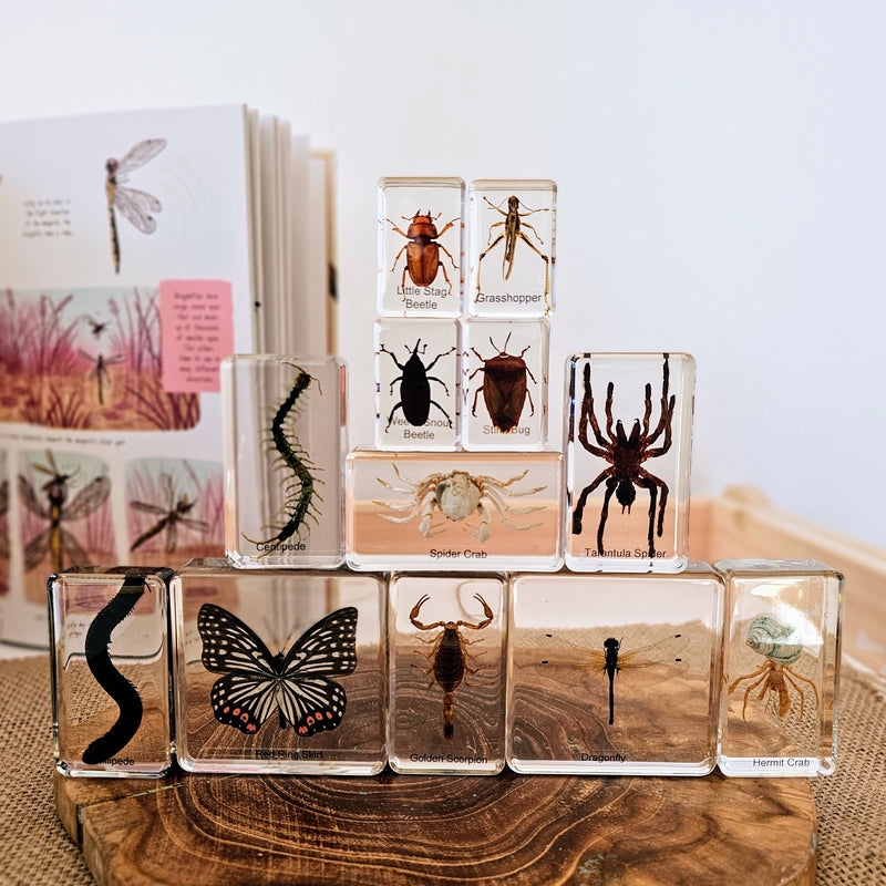 Mini Beasts Anthropods Large Set by Knowledge Builder Early Science STEM Toys 6yrs+