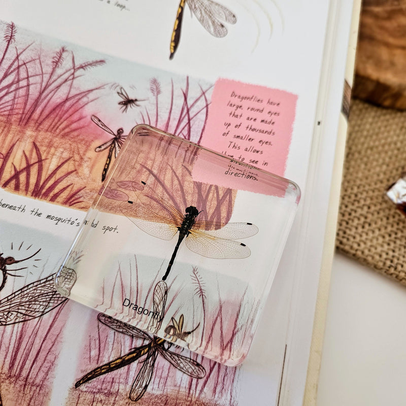 Mini Beasts Anthropods Large Set by Knowledge Builder Early Science STEM Toys 6yrs+