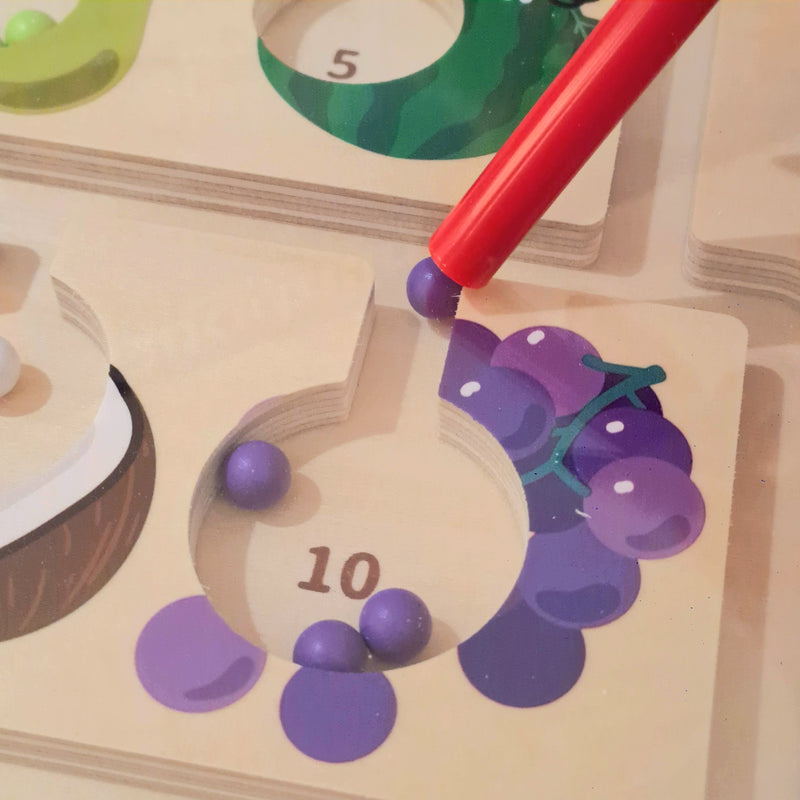 Viga Toys Wooden Magnetic Maze Fruit 1-10 Counting & Colour Sorting Board Early Math Games for Kids Fine Motor Skills Developmental Toys 18m+