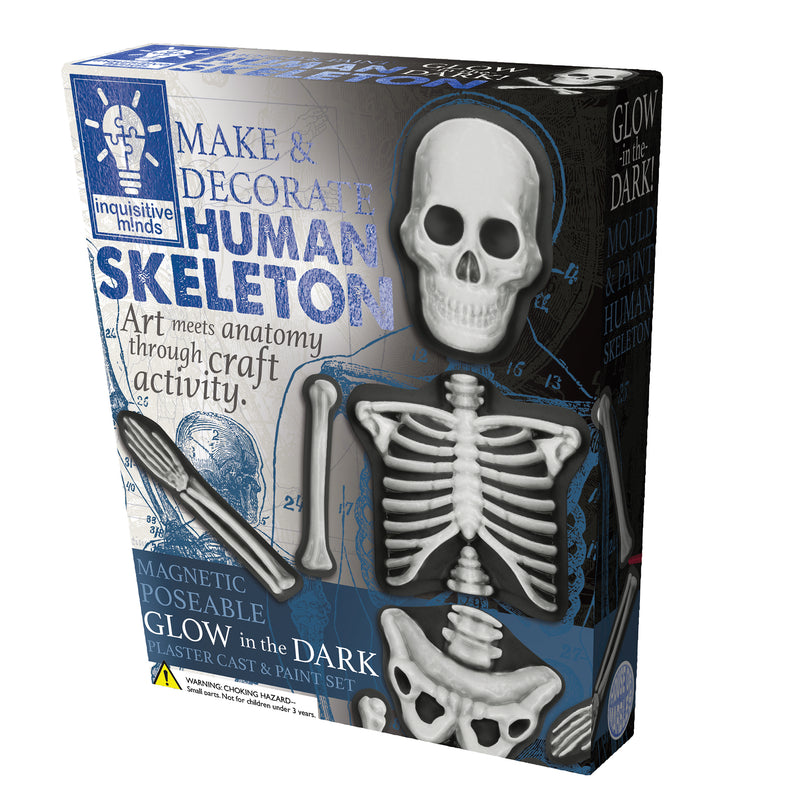 House of Marbles Make & Decorate Human Skeleton DIY Craft Kit Glow In The Dark Art and Craft Early Science 5yrs+