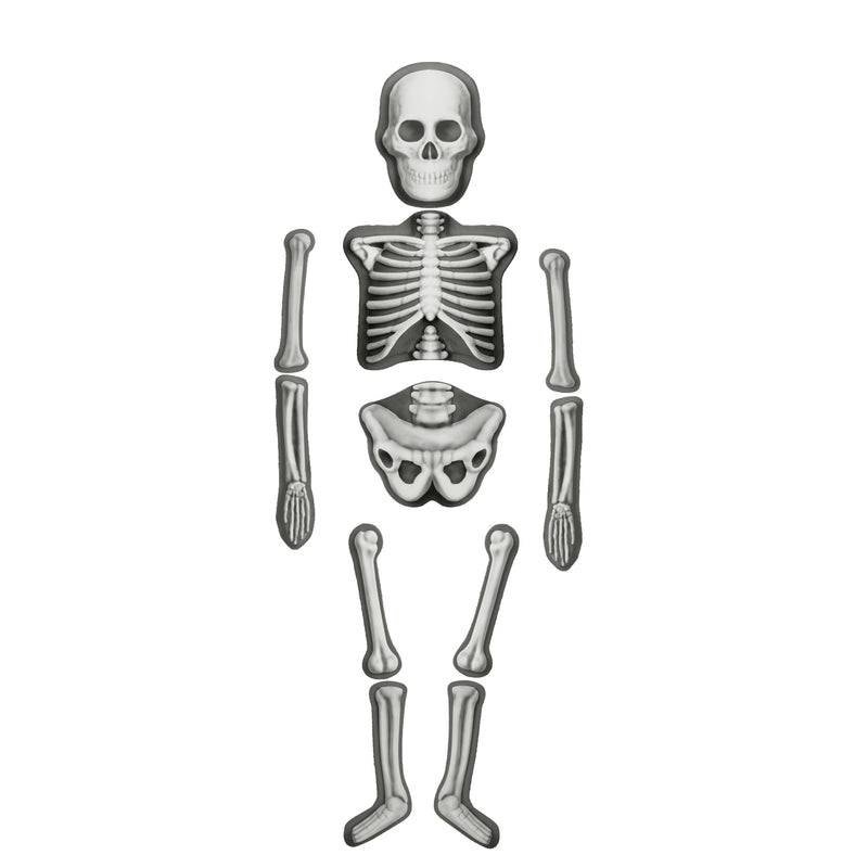 House of Marbles Make & Decorate Human Skeleton DIY Craft Kit Glow In The Dark Art and Craft Early Science 5yrs+