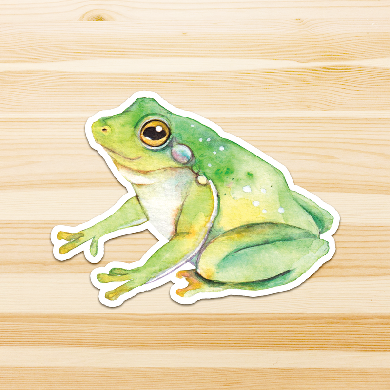 Australian Animal Large Vinyl Waterproof window wall decor Stickers Original Artworks Selected 10pcs Pack by Watercolour By Cat