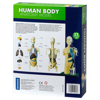 Human Body Anatomy Model Kit Early Science STEM Toys Best Seller 8yrs+